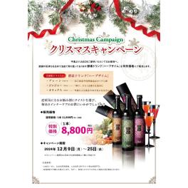 🎄本日より開催🎉Xmasキャンペーンのご案内🎅